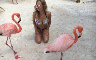 Gary took an 11-day cruise from New York City through Aruba, Curacao, Bonaire and Miami on October 26, 2017